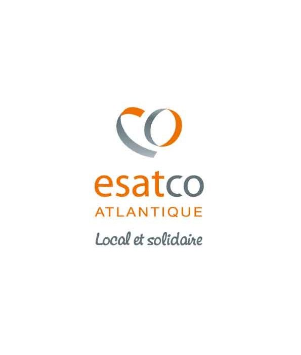 Logo_esatco_orange